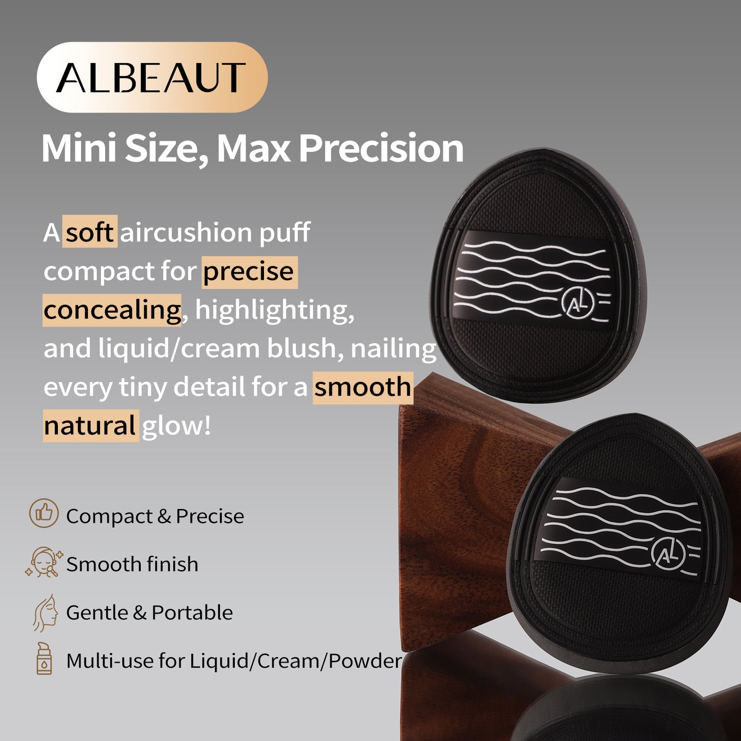 Concealer Brush & Puff 193 FP003*2